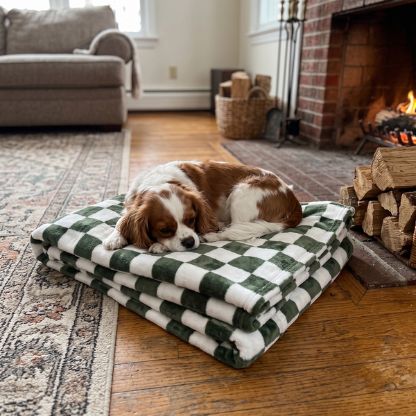 PlaidPetal Green lifestyle photo