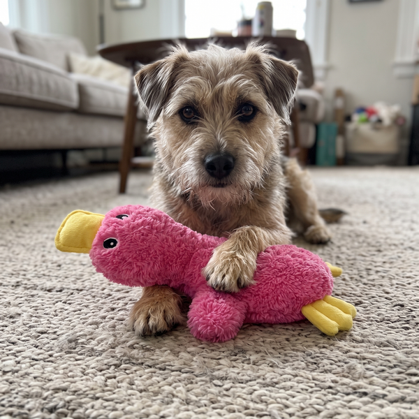 QuackBuddy Pink lifestyle photo