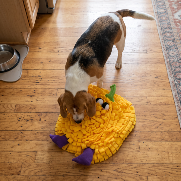 VeggieSniff Bell Pepper lifestyle photo