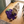 VeggieSniff Eggplant lifestyle photo