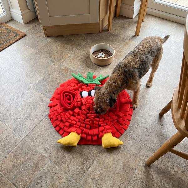VeggieSniff Tomato lifestyle photo