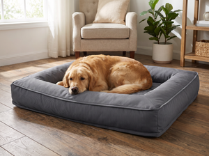 BurrowKeep Orthopaedic Dog Bed lifestyle photo