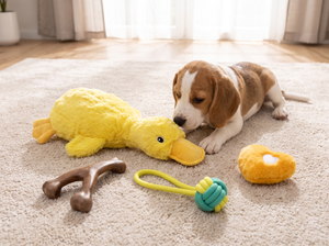 ChewQuartet Dog Toy Set lifestyle photo