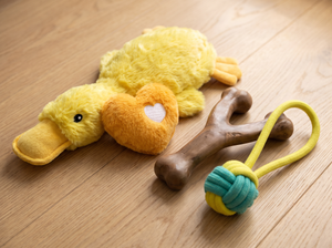 ChewQuartet Dog Toy Set close up of all four toys